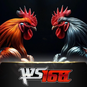 Ws168 Sabung - AZGAMING388