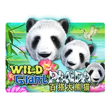 Joker123 : Wild Giant Panda - AZGAMING388