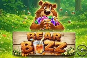 Bear Buzz - AZGAMING388