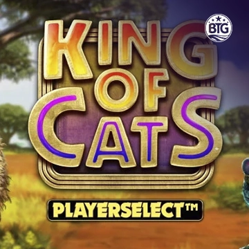 Bigtime : King of Cats - AZGAMING388