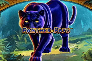 Panther Pays - AZGAMING388