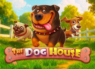 Pragmatic : The Dog House - AZGAMING388