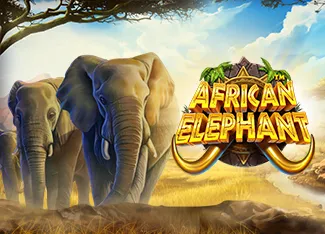 Pragmatic : African Elephant - AZGAMING388